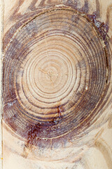 Fototapeta premium Knot on the board