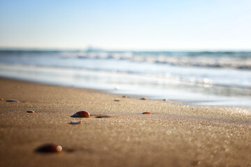 Fototapeta na wymiar Sea waves and warm sunset light, calm and relaxing sandy beach
