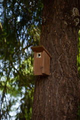 A birdhouse hung on the trunk of a resinous tree. A closed birdhouse for small birds is attached to the trunk of a tree.