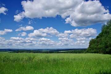 Landschaft Rheingau Taunus