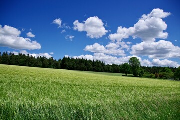 Landschaft Rheingau Taunus