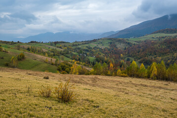 Obraz premium Cloudy and foggy day autumn mountains scene. Peaceful picturesque traveling, seasonal, nature and countryside beauty concept scene. Carpathian Mountains, Ukraine.