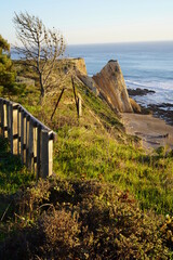 bluff trail along the ocean