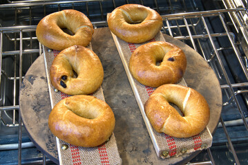 Freshly baked Sourdough Bagels sitting on bagel boards in the oven