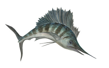 Watercolor painting swordfish isolated on white. Sea illustration - 506912321