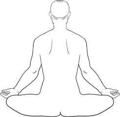 Man sitting in a lotus position back view, male anatomy vector illustration