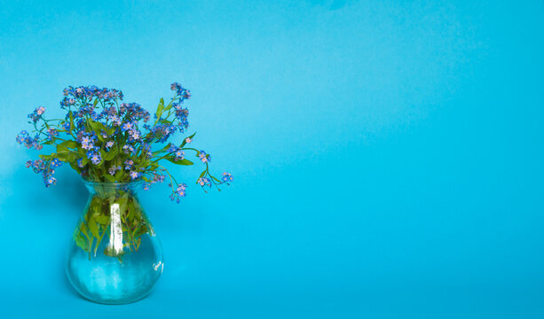 Blue Flowers In A Vase On A Blue Background