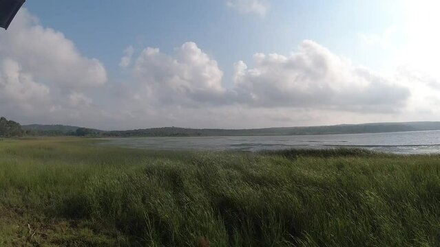 sea in cloudy weather, reeds swaying in the wind, sky and moving clouds, time-laps 2024