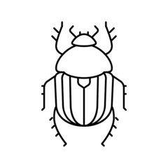scarab bug line icon vector illustration