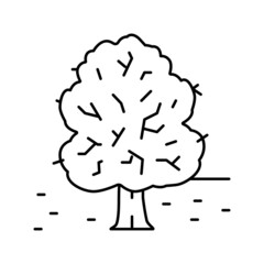 park tree line icon vector illustration