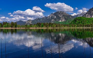 Schwansee mit Schloss Neuschwanstein