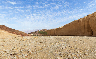  Shkhoret Canyon in Arava Desert Israel