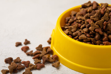 Dry cat food in a yellow bowl on a cement background. Vitamins and nutrients for good health and energy of pets.Copy space.