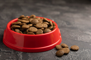 Dry dog food in a red bowl on a cement background. Vitamins and nutrients for good health and energy of pets.Copy space.