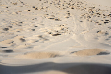 Areal nas dunas de Florianópolis, Brasil;  pegadas na areia