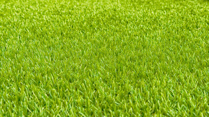 A perfect green lawn. Artificial grass background.