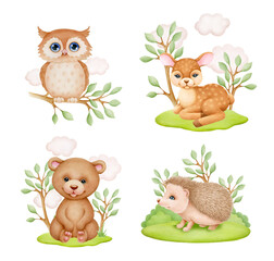 Watercolor illustration of bear, owl, hedgehog, deer and forest design elements. Woodland animal, children's illustration for print
