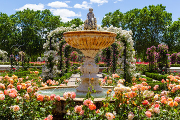 Botanical garden of Madrid in the Retiro park. Rose garden in spring. Flower-filled gardens with fountains and metal arches.