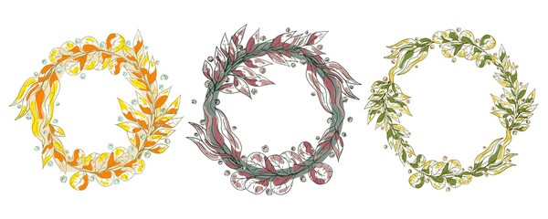 Set of vector wreaths with branches of different plants and dew drops. Three wreaths in different colors on a white background. Round invitation frame.
