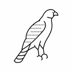 Fototapeta premium hawk bird line icon vector illustration