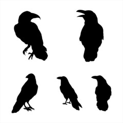 set of silhouettes of rave, crows