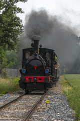 Obraz premium Steam locomotive of Rhine Tourist Railway in spring.