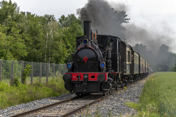 Fototapeta na wymiar Steam locomotive of Rhine Tourist Railway in spring.
