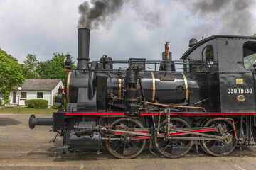 Fototapeta na wymiar Steam locomotive of Rhine Tourist Railway in spring.