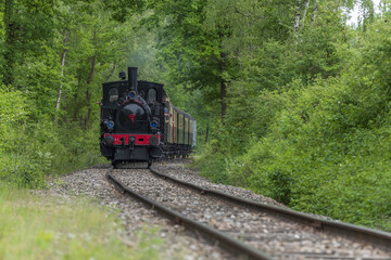 Steam locomotive of Rhine Tourist Railway in spring.