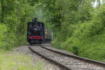 Steam locomotive of Rhine Tourist Railway in spring. © bios48