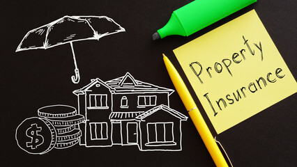 Property insurance is shown using the text