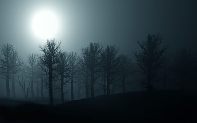 Forest in fog. 3d render