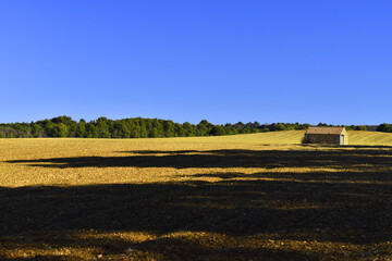 Southern French natural landscape; field with little traditional house