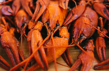 Large boiled crayfish on a wooden board close-up. background of boiled red crayfish for the menu.
