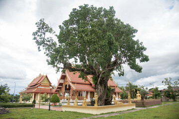 Fototapeta na wymiar Temple Southern Asia Laos
