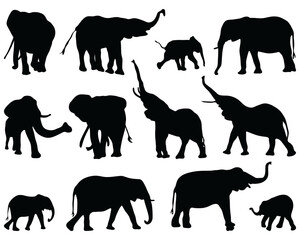 Black silhouettes elephants on a white background