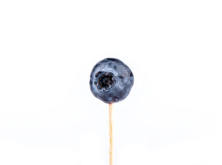 Ripe blueberry on wooden stick over white background.