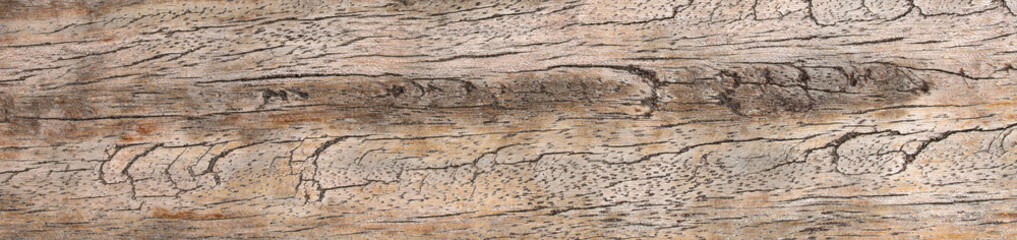 texture of brown wood plank surface - wooden background	
