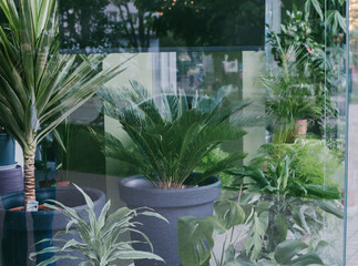 Glass shop window with flowers and reflection of the city