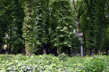 Jüdischer Friedhof in Berlin im Frühling