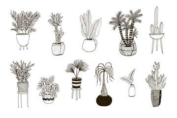 Home potted plants vector line illustrations set