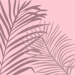 Palm leaves tropical shadow. Summer Botanical wallpaper shadow on the wall. Shade from tropical leaves. Vector background