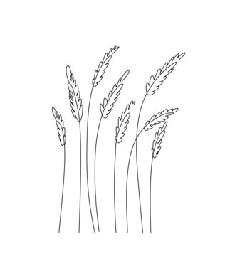 recommend clip art: Hand drawn line art of the wheat field - symbol of Ukrainian culture. Rye Silhouette in contemporary one-line style. Design for advertising, posters, wall art 