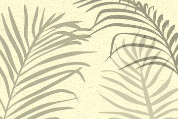 Palm leaves tropikal shadow. Botanical shadow on the sand. Summer Vector illustration