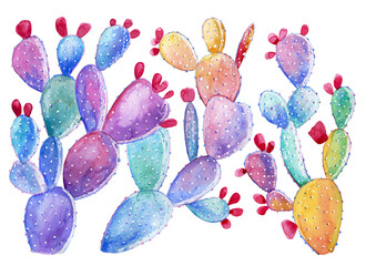 Prickly pear cacti isolated on a white background. Stylized colorful watercolor illustration. Iridescent delicate color. Perfect print for T-shirts, clothes, posters, interior © Галина Ярыгина