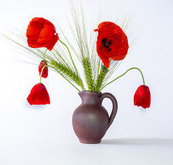 red poppy flowers in a clay vase with ears of grain, a few withered flowers, symbolic plants, white...