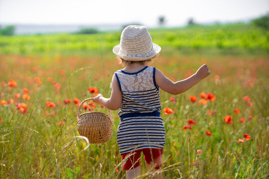 little girl in a field of poppies