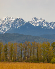 Beautiful autumn landscape with mountains in distance in Canada.
