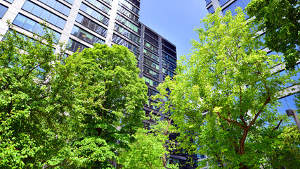 Fresh green trees and office building, business concept. Eco building in modern city concept.  