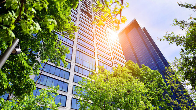 Fresh green trees and office building, business concept. Eco building in modern city concept.  